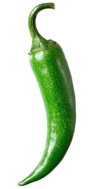 Fresh Green Chili Pepper Isolated