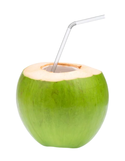 Fresh Green Coconut Drink with Straw