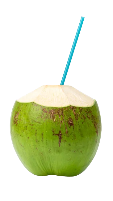 Fresh Green Coconut with Blue Straw