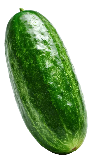 Fresh Green Cucumber