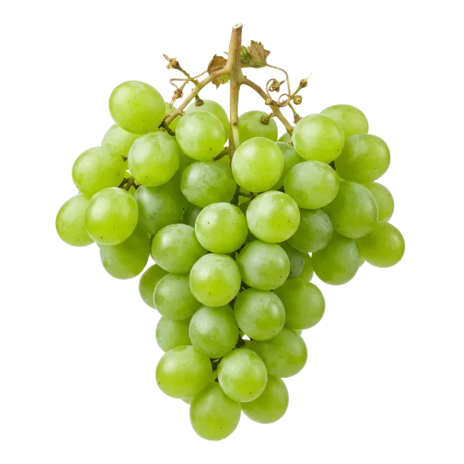 Fresh Green Grapes Bunch