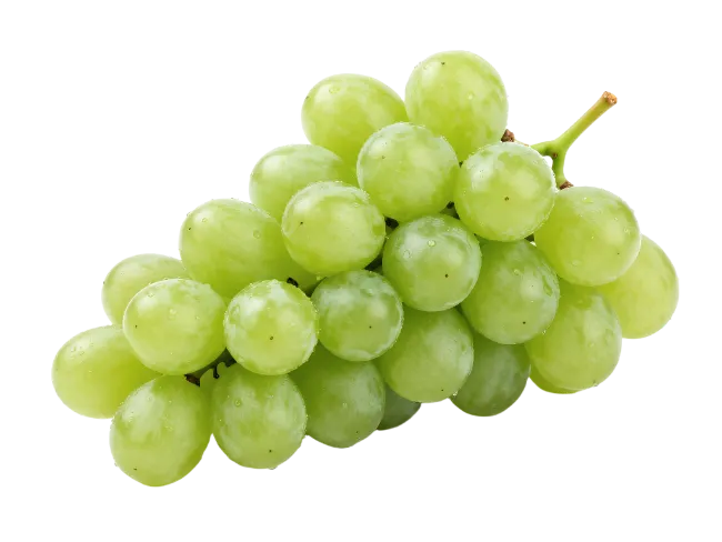 Fresh Green Grapes Cluster