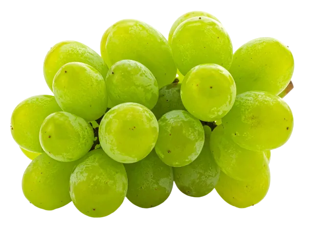 Fresh Green Grapes Cluster