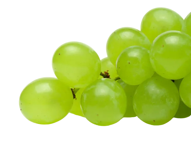 Fresh Green Grapes Cluster