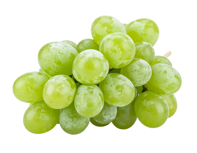 Fresh Green Grapes Cluster
