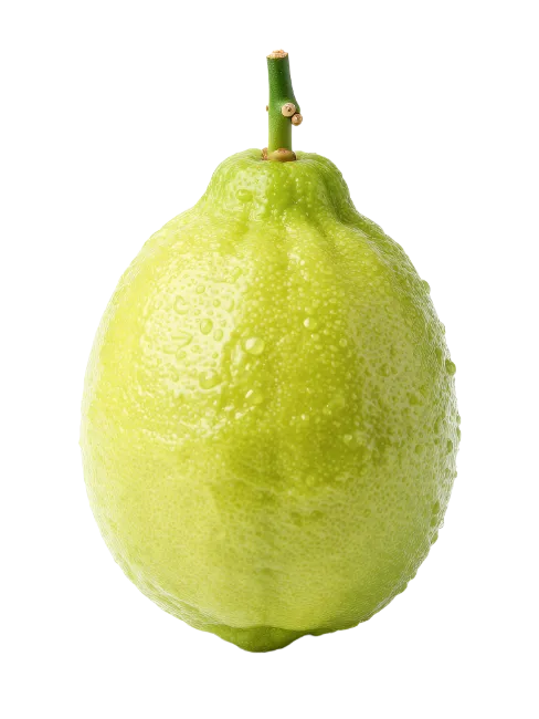 Fresh Green Lemon with Water Drops