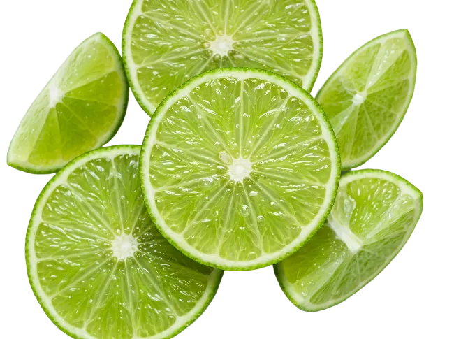 Fresh Green Lime Slices and Halves