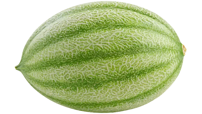 Fresh Green Melon Fruit