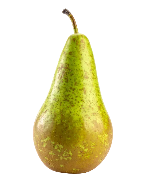 Fresh Green Pear Fruit Isolated