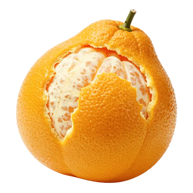 Fresh Half Peeled Tangerine Fruit