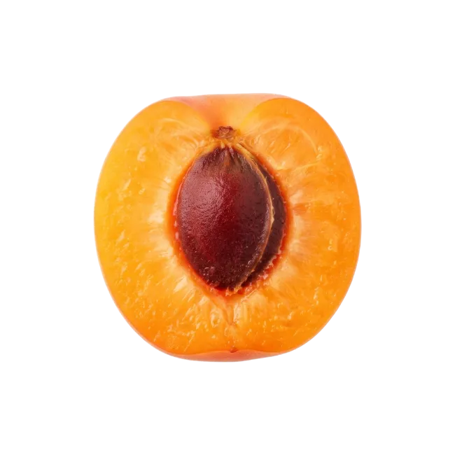 Fresh Halved Apricot with Pit