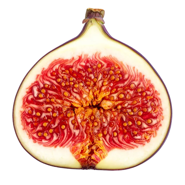 Fresh Halved Fig Fruit