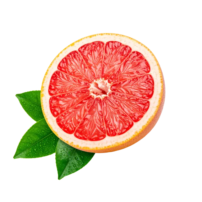 Fresh halved grapefruit with green leaves