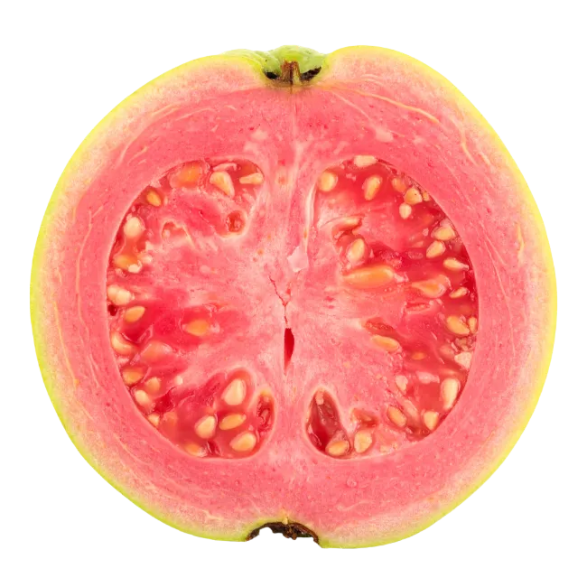 Fresh Halved Guava Fruit With Seeds