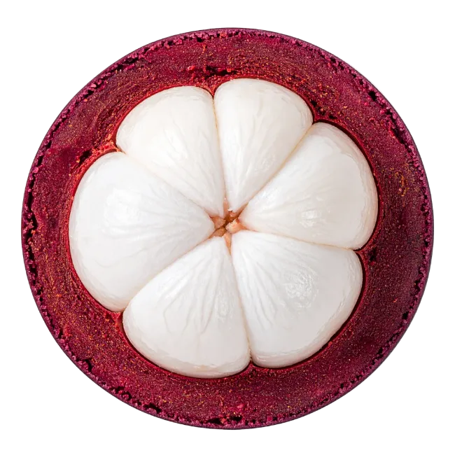 Fresh Halved Mangosteen Fruit Top View