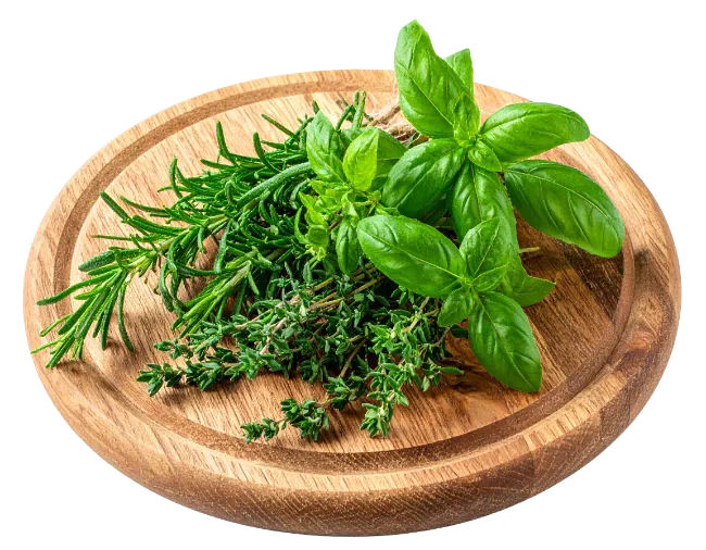 Fresh Herbs on Wooden Cutting Board