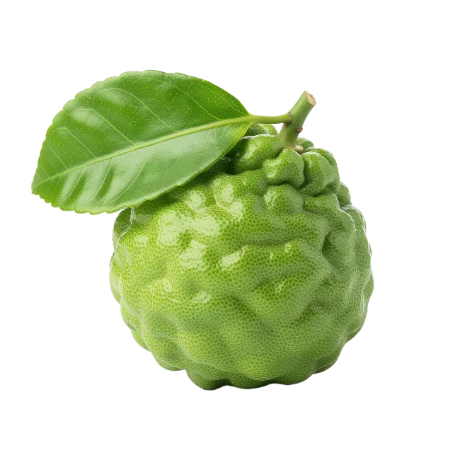 Fresh Kaffir Lime with Leaf