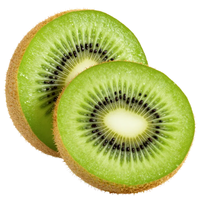 Fresh Kiwi Fruit Slices Isolated