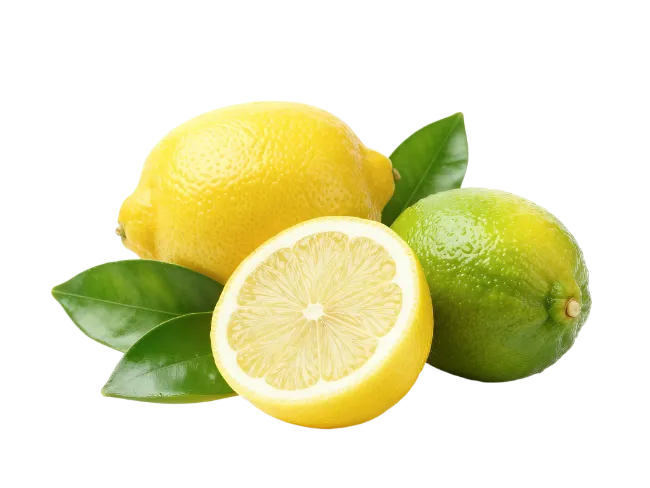 Fresh Lemons and Limes with Green Leaves