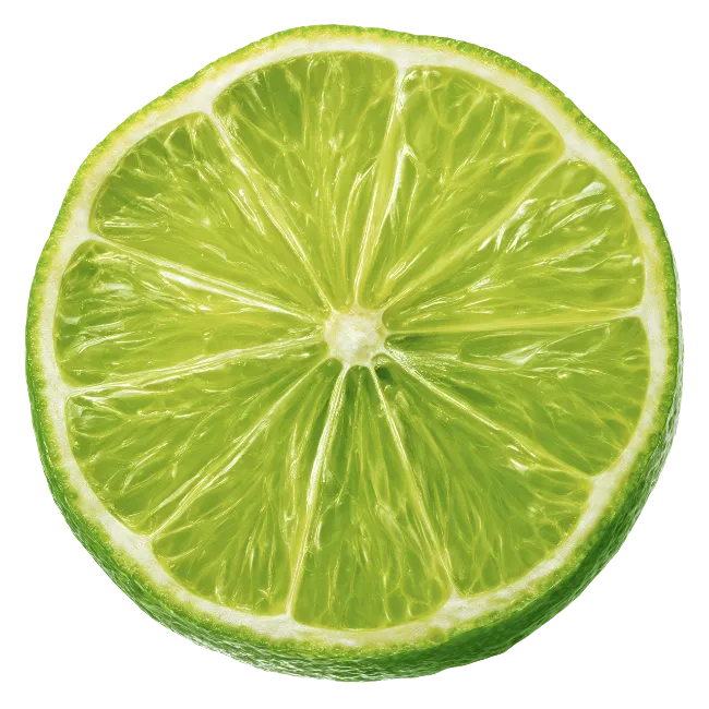 Fresh Lime Slice Isolated