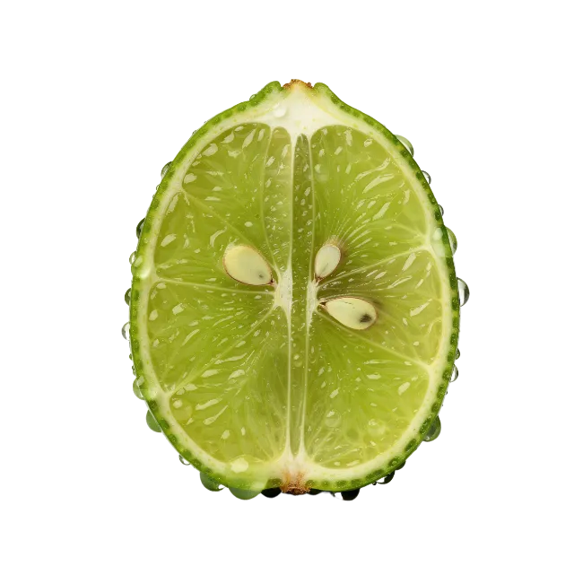 Fresh Lime Slice with Water Drops