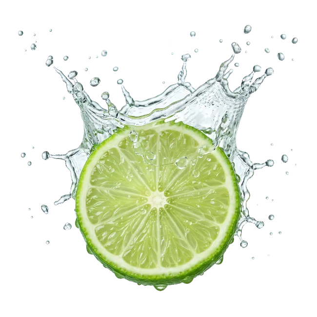 Fresh Lime Slice with Water Splash