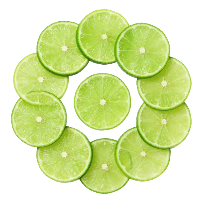 Fresh Lime Slices Arranged in a Circle