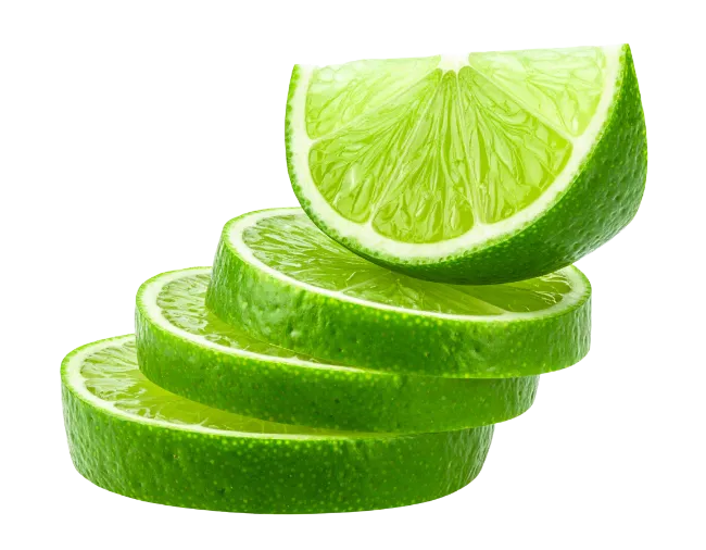 Fresh Lime Slices Isolated