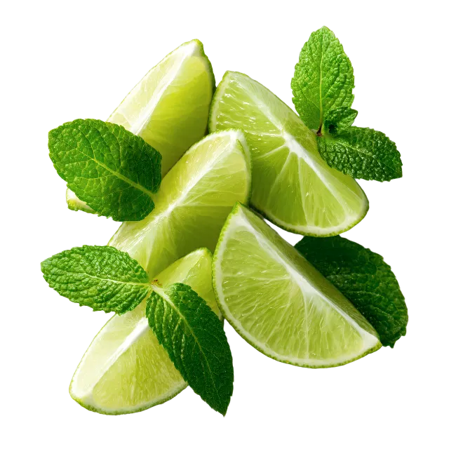 Fresh Lime Wedges and Mint Leaves