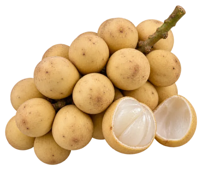 Fresh Longkong Fruit Cluster with Peeled Sections