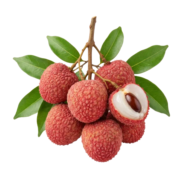 Fresh Lychee Fruit Cluster with Leaves