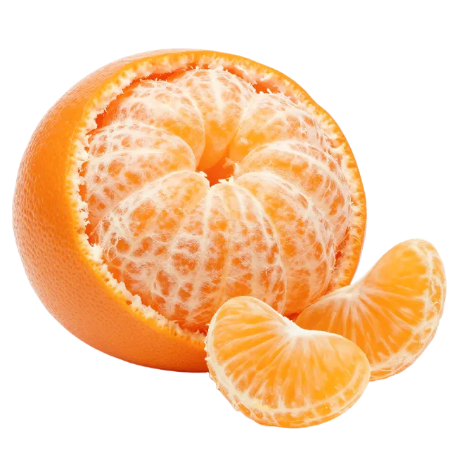 Fresh Mandarin Orange Halved with Segments