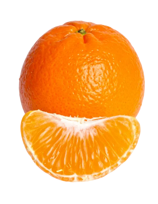 Fresh Mandarin Orange with Segment