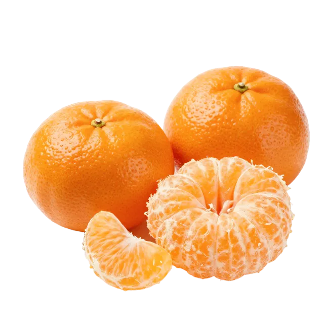 Fresh Mandarin Oranges and Segments