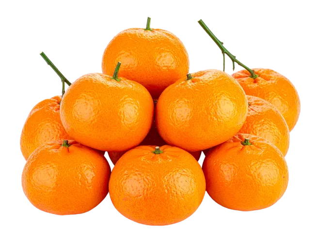 Fresh Mandarin Oranges Fruit Pile