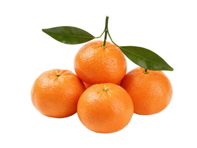 Fresh Mandarin Oranges with Green Leaves