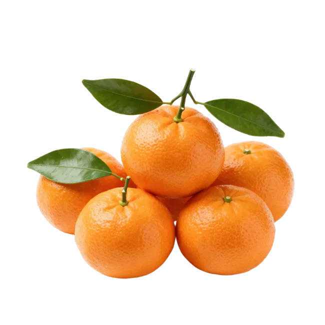 Fresh Mandarin Oranges with Green Leaves