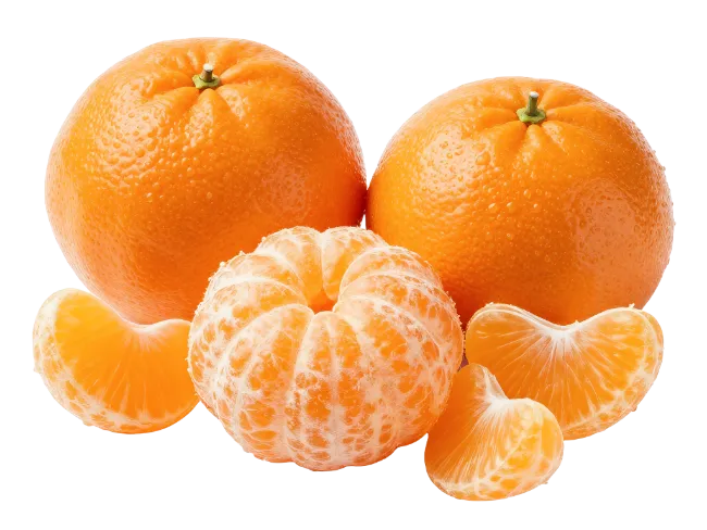 Fresh Mandarins and Orange Slices