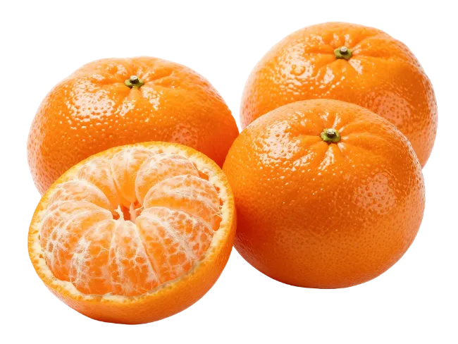 Fresh Mandarins and Peeled Segments