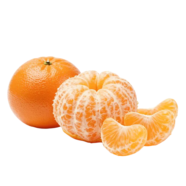 Fresh Mandarins and Segments