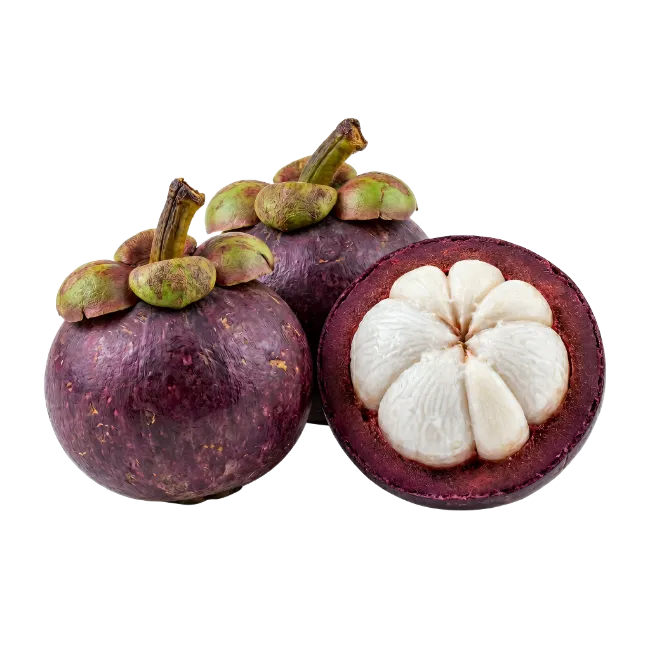 Fresh Mangosteen Fruit Whole and Split
