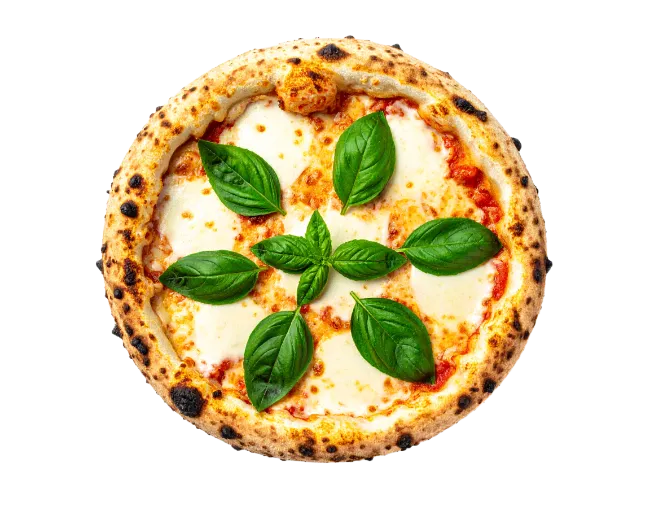 Fresh Margherita Pizza with Basil