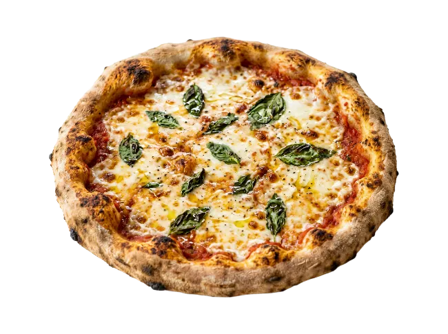 Fresh Margherita Pizza with Basil and Cheese