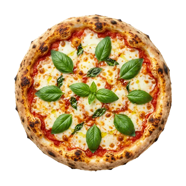 Fresh Margherita Pizza with Basil Leaves