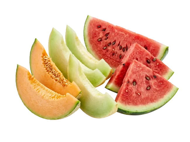 Fresh Melon and Watermelon Slices