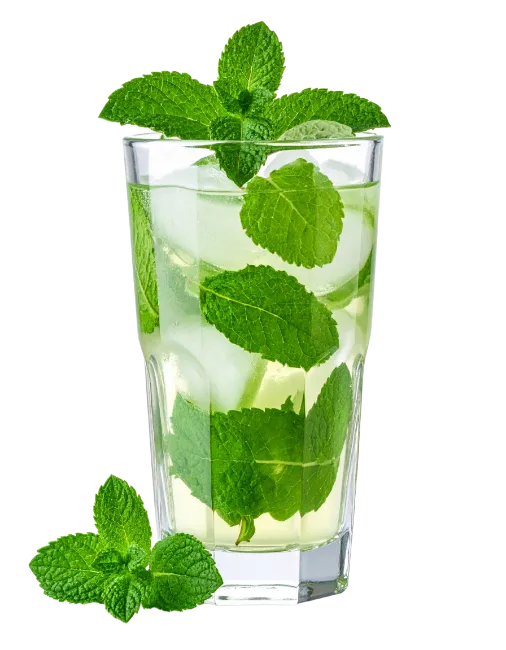 Fresh Mint Mojito Cocktail with Ice and Mint Leaves