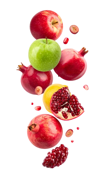 Fresh Mixed Fruits Falling