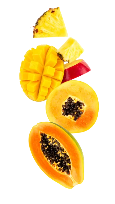 Fresh Mixed Tropical Fruit Slices
