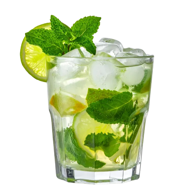 Fresh Mojito Cocktail in Glass