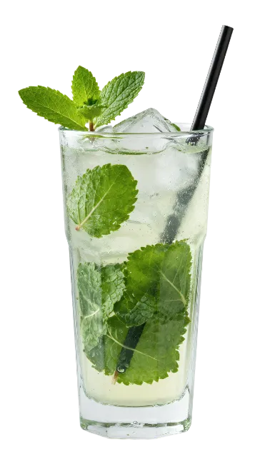 Fresh Mojito Cocktail with Mint Leaves
